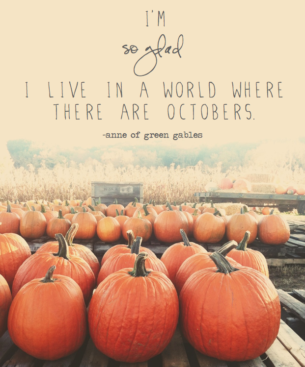 fall love quotes tumblr